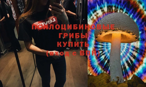 экстази Алексин