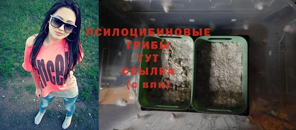 mdpv Алзамай
