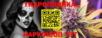 spice Шелехов