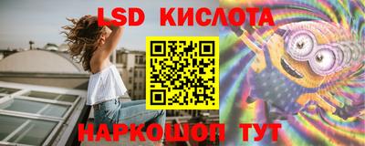 тгк Шебекино
