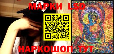 тгк Шебекино