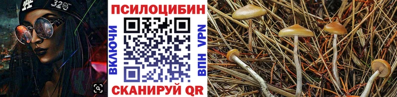 сколько стоит Первоуральск Псилоцибиновые грибы ЛСД