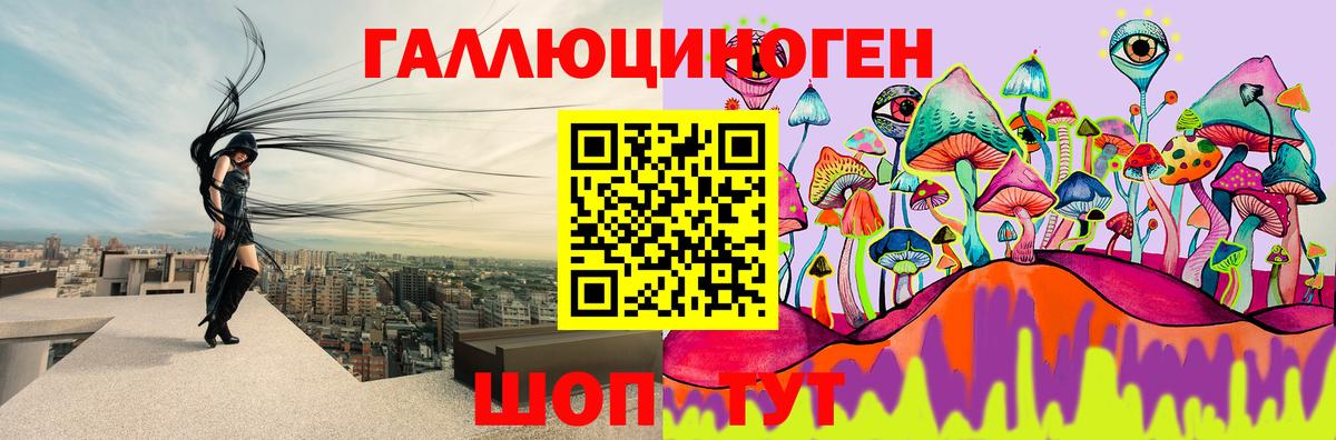Псилоцибиновые грибы Psilocybine cubensis Первоуральск